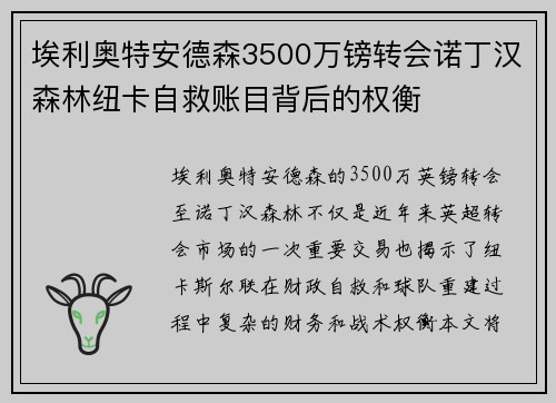 埃利奥特安德森3500万镑转会诺丁汉森林纽卡自救账目背后的权衡