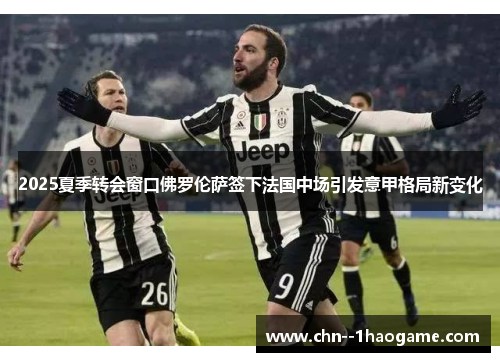 2025夏季转会窗口佛罗伦萨签下法国中场引发意甲格局新变化
