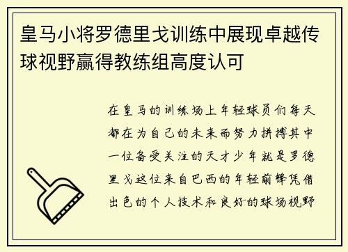 皇马小将罗德里戈训练中展现卓越传球视野赢得教练组高度认可